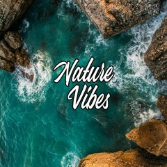 NatureVibes - Deep Café Vol.38