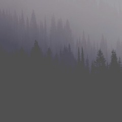 BTS - Lights Lullaby + Nighttime Forest Ver.