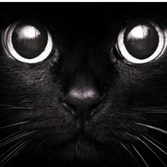 Set #38 axaM - 03.01.2020