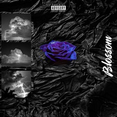 bLOSSom(Demo) Prod. 1VArt