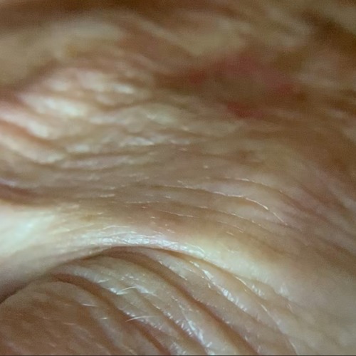 It Cracks, The Skin (Demo film score "TRINFECTA")