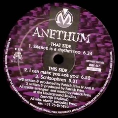 Silence is a rhythm too (Remix) - Anethum