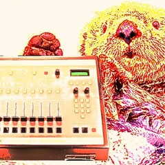 Hi - Fiﾗｯｺ - 10