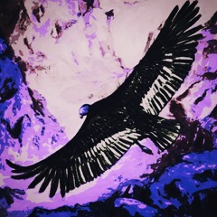 URUCUM - Condor In The Sky (feat. Anat Nabi)
