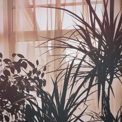 EXISTENCE (Reproduced)