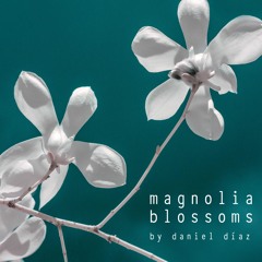 Magnolia Blossoms