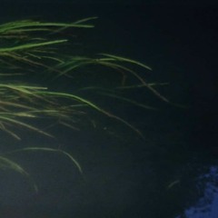 細水長流