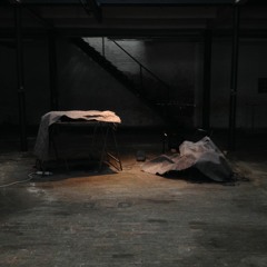 ROBOTS - Jean-François Blanquet & David Neaud - FịИ-ѕTi\/ΔL de la ѕ≡ηη≡ 13 décembre 2019 Bruxelles