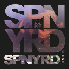 SPNYRD @ Waagenbau - NYE 2019 - 1h Closing DJ-Set