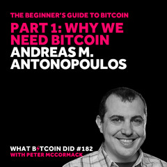 Beginner’s Guide #1: Andreas M. Antonopoulos on Why We Need Bitcoin