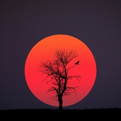 Lars H.U.G. - Solen er så rød (Bow Miller's Iphone Edit) FREE DOWNLOAD