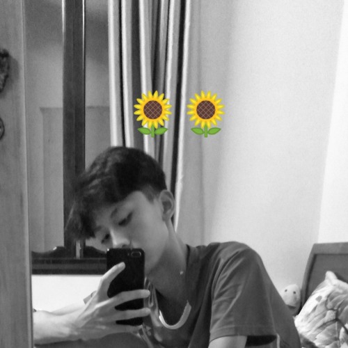 sunflower [ no vocal ]