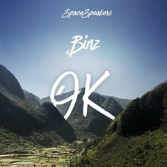 BINZ - OK (Official Music)