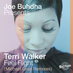 Joe Buhdha Presents Terri Walker – Feel Right (Michael Gray Remix)