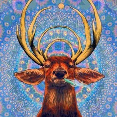 A Wild Trip