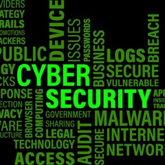 Idea #6 - Cybersecurity Concerns