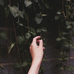 Pari Zanganeh || Gole Gendom