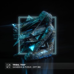 GANEESHA & PVZZLR - DMT 800 (Tribal Trap)