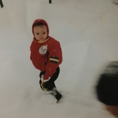 gardening birds demo