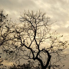 Downtempo/Ambient