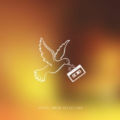 Joyful Union Select 030