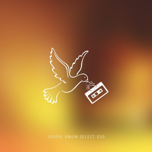 Joyful Union Select 030