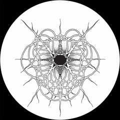 Translate & Pulso - Moriarty [MT26]