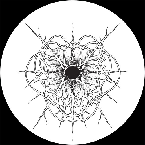 Translate & Pulso - Moriarty [MT26]