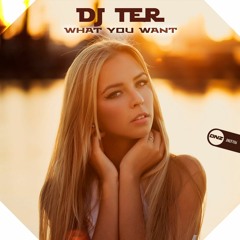 Dj Ter - What you want