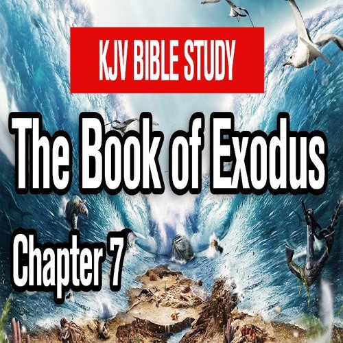 james chapter 7 king james version