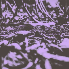 UIRI - ANOMALY