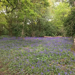 Like a Bad Friend, or Toxic Lover