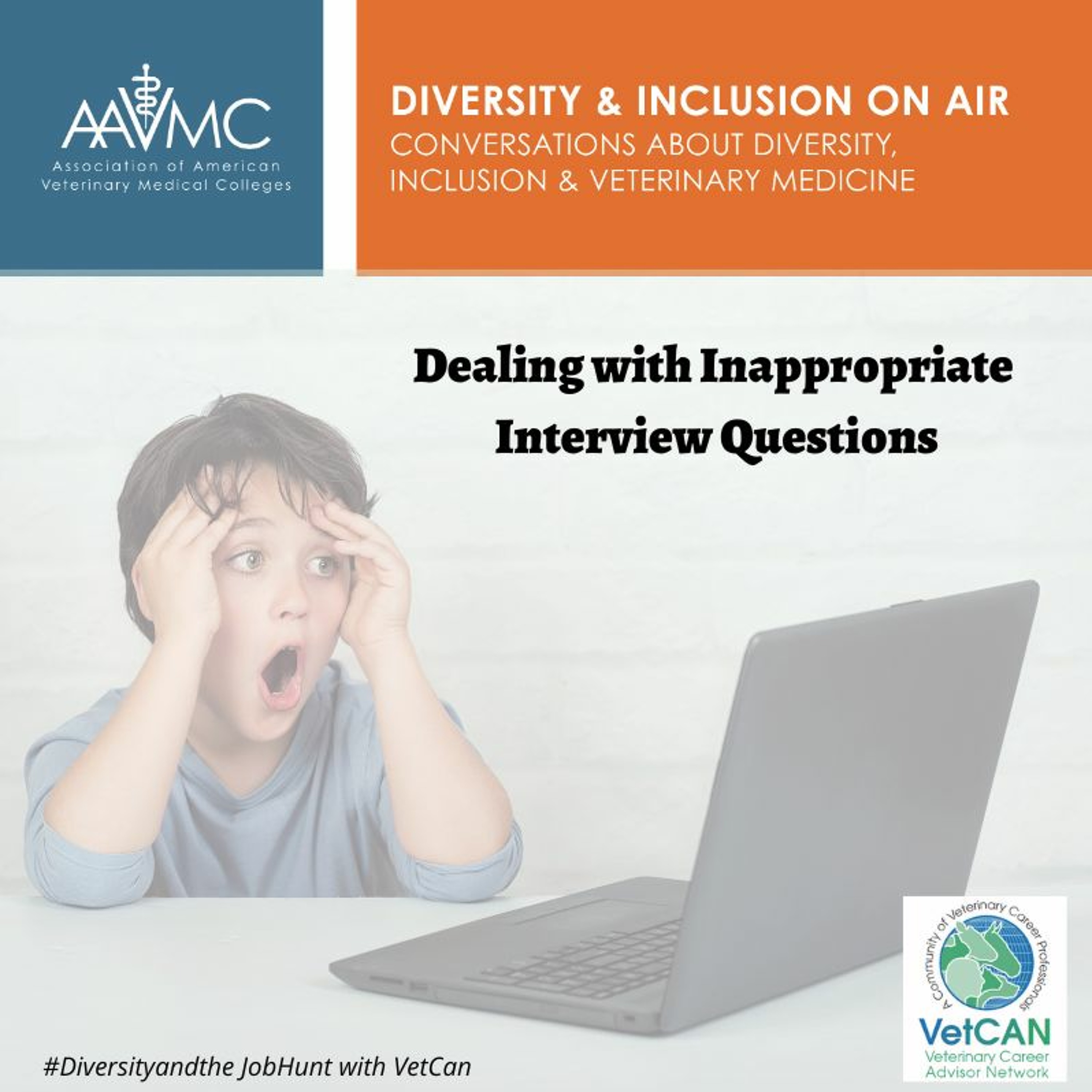 AAVMC\'s On Air: Conversations about Issues in Veterinary Medicine