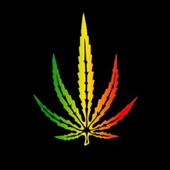 JungleTek Massive Mix