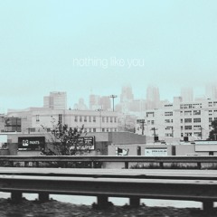 Nothing Like You