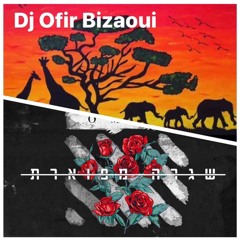 Happiness vs עומר אדם - שגרה מפוארת (Dj Ofir Bizaoui Remix)