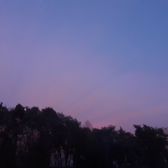 Tramwaje (bardzo demo wersja)