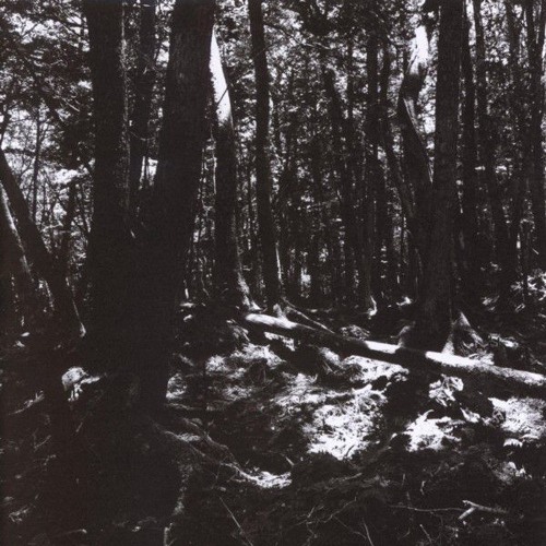 05 - Fragments