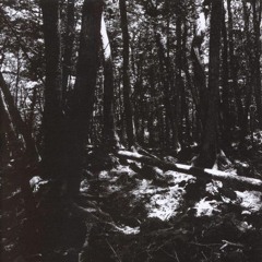 01 - Open Air