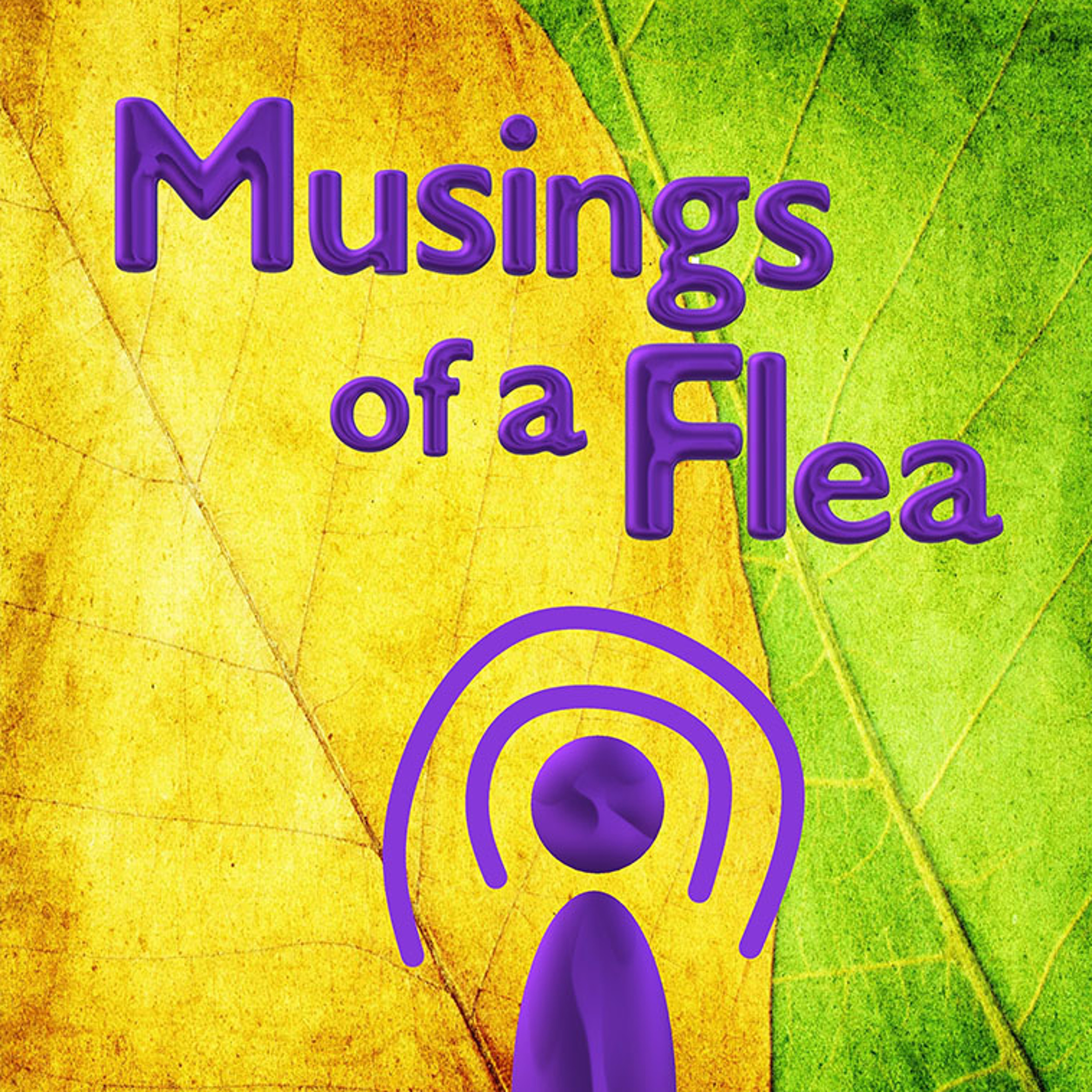 Musings of a Flea