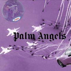 Palm Angels
