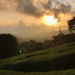 almost (feat. dylan gundel)