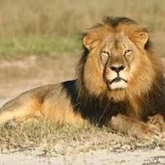 Dont Do Me Like That