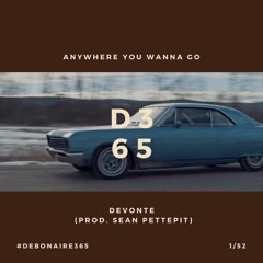 Anywhere You Wanna Go