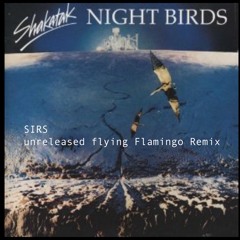 FREE DOWNLOAD :Nightbirds - SIRS`s Flying Flamingo Remix