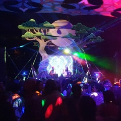 EVOlution NYE 2am Fullon Psytrance set