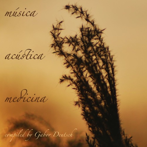 Música Acústica Medicina vol.1 [2020]