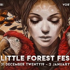 TerraHertz Little Forest Festival NYE 1 January 2019 DJ Set [148]