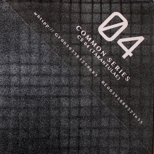CS04 - OVEST 2