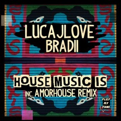 LucaJLove, Bradii - House Music Is (Amorhouse Rmx)